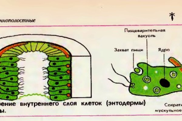 Кракен не работает