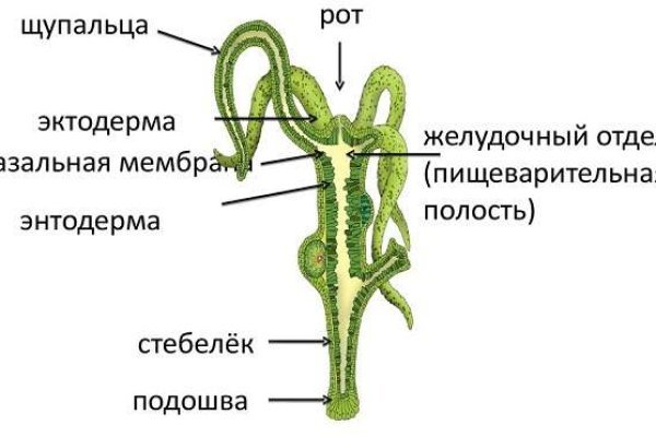 Kraken новая ссылка