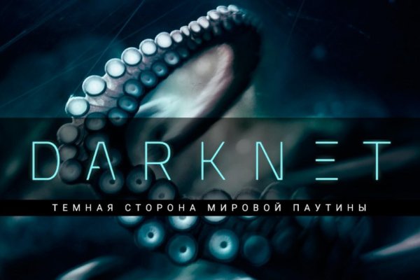 Kraken darknet store