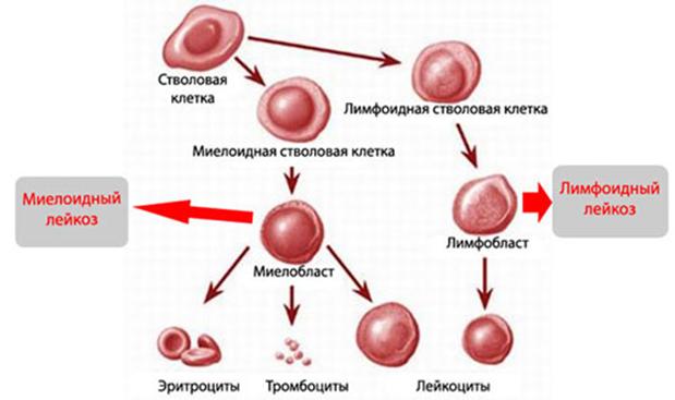 Кракен наркомагазин