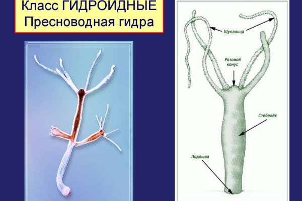 Что такое кракен маркетплейс